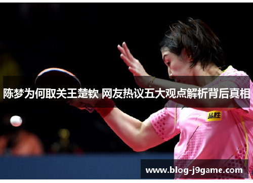 陈梦为何取关王楚钦 网友热议五大观点解析背后真相