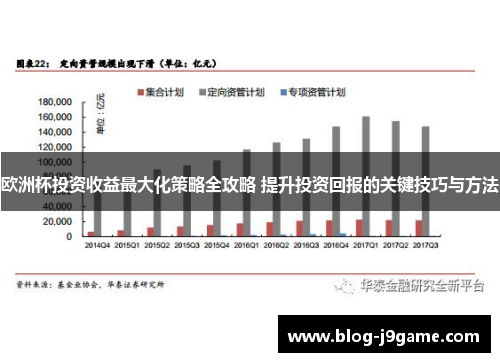 欧洲杯投资收益最大化策略全攻略 提升投资回报的关键技巧与方法