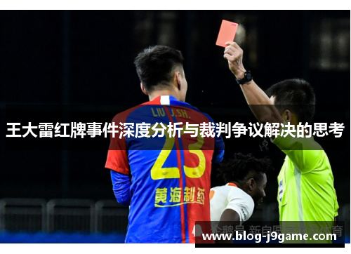 王大雷红牌事件深度分析与裁判争议解决的思考